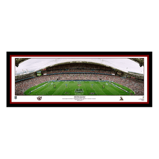 2008 Manly Sea Eagles L/Ed Ground Panoramic Framed