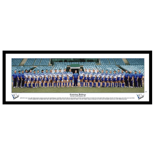 2004 Canterbury Bulldogs Large Panoramic Framed