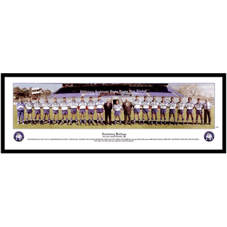 1995 Canterbury Bulldogs Large Panoramic Framed