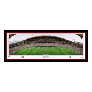 2008 Manly Sea Eagles L/Ed Ground Panoramic Framed