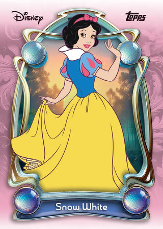 2025 Disney Wonder Winter Mega Box
