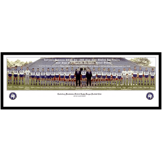 1988 Canterbury Bulldogs Large Panoramic Framed