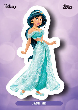 2025 Disney Wonder Winter Mega Box