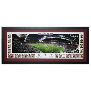 2011 Manly Sea Eagles Ground Pano Framed