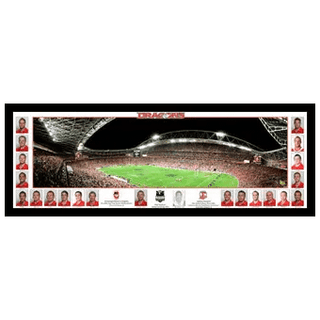 2010 St George Dragons Premiership Panoramic Framed