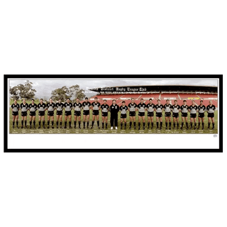 1991 Penrith Panthers Large Panoramic Photo Framed