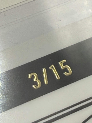 2024 Leaf Pro Set Metal Logan Diggs Silver Crystal Auto 3/15