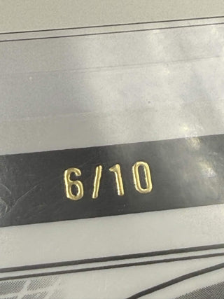 2024 Leaf Pro Set Metal Omarion Hampton 6/10