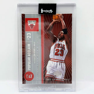 2003-04 Upper Deck Honor Roll Michael Jordan Popular Acclaim #PA12