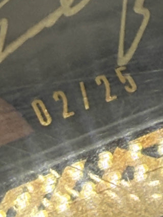 2011-12 Exquisite Collection UD Black Dual Patch Autographs Jordan/Bird 2/25 BGS NM-MT+ 8.5