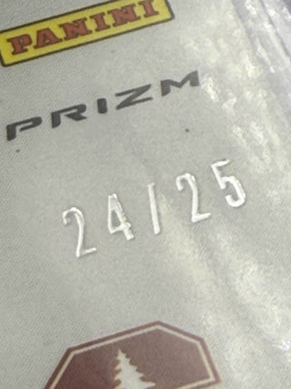 2021 Panini Prizm Draft Picks Instant Impact Ziaire Williams Mojo Prizm 24/25