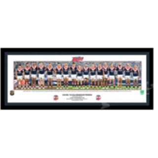 2018 Sydney Roosters Players Panoramic Print Framed