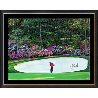 Tiger Woods Signed "Azalea" Photo Framed